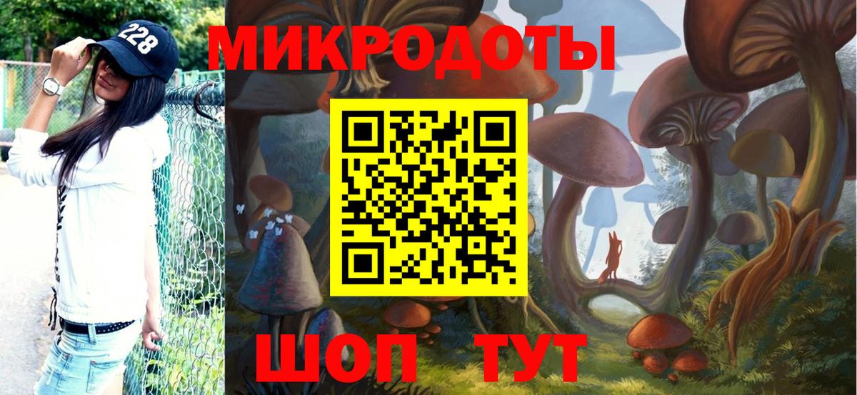 Псилоцибиновые грибы Magic Shrooms  Галлюциногенные грибы мицелий  Выкса 